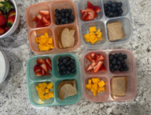 Toddler Snack Boxes