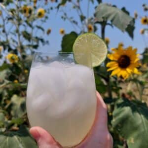 LIMEADE